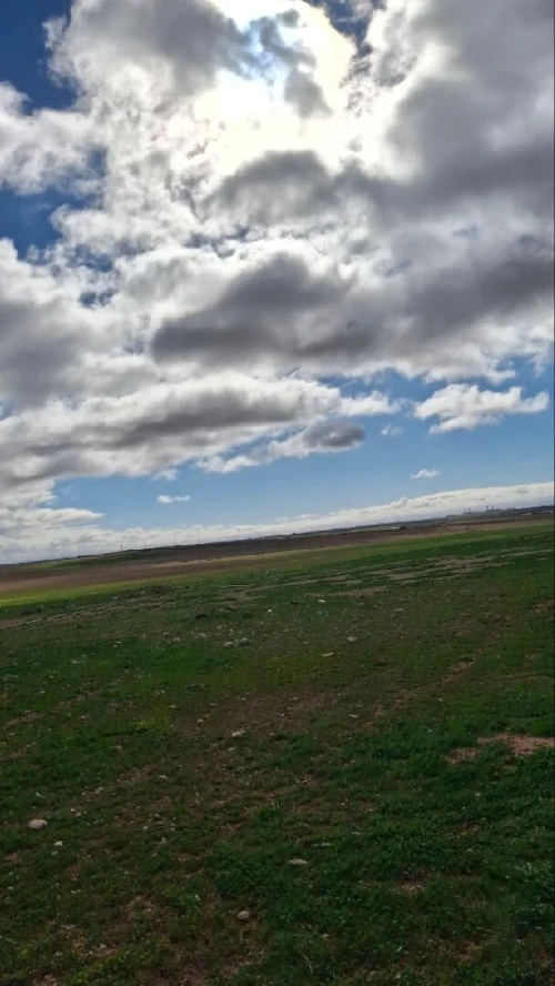 Vente Terrain Agricole Djelfa Ain oussara