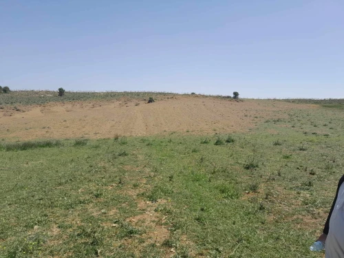 Vente Terrain Agricole Bouira Sour el ghouzlane