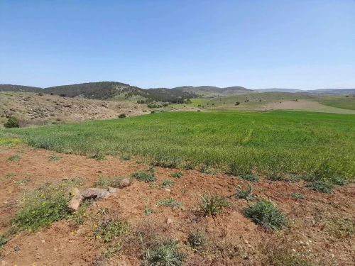 Vente Terrain Agricole Bouira Sour el ghouzlane