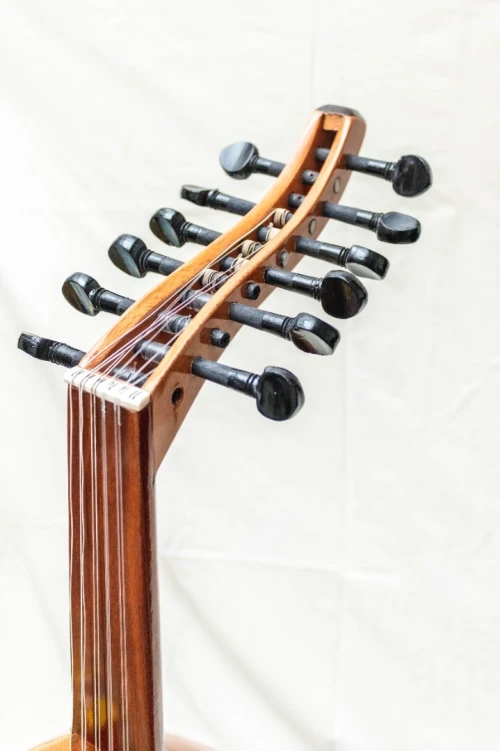 Oud / عود