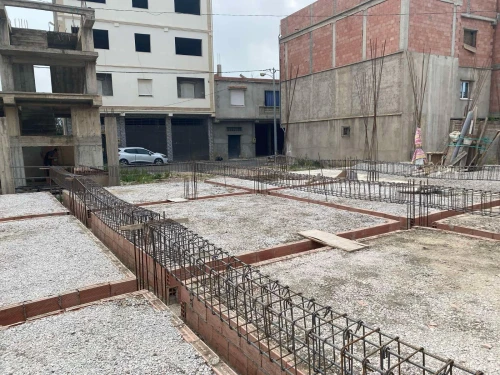 Vente Terrain Blida Meftah