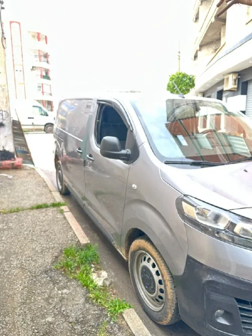 Fiat Scoudo 2024 Tot