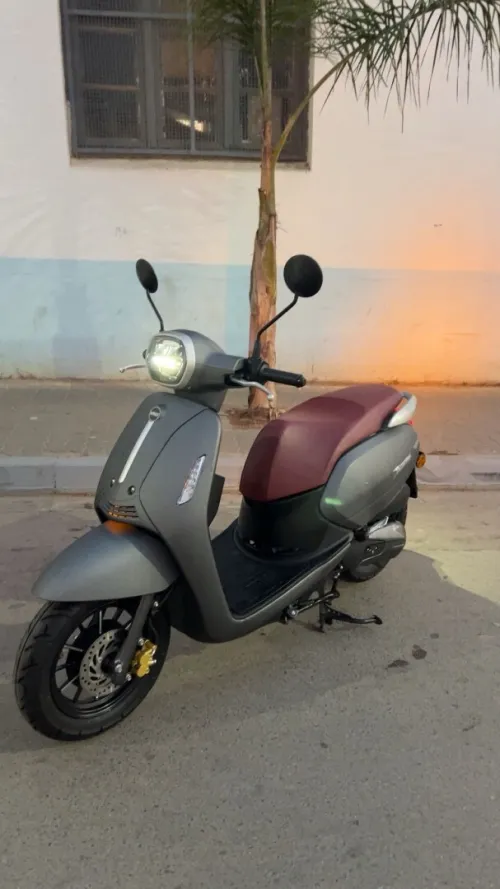 benelli panarea 