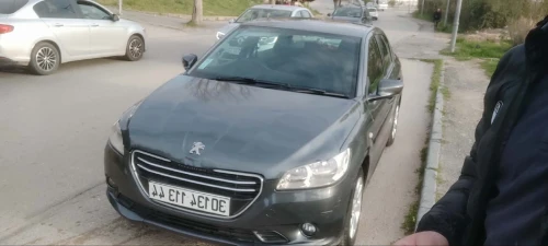 Peugeot 301 2013 Access