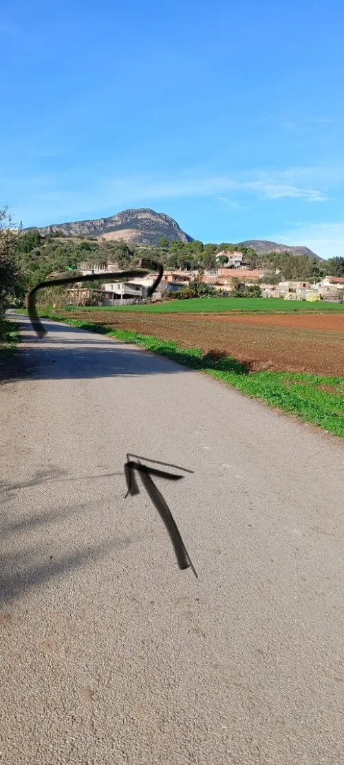 Vente Terrain Tipaza Nador
