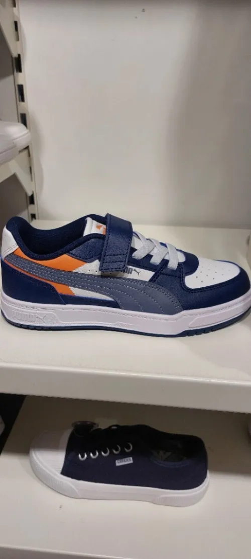 Basket puma