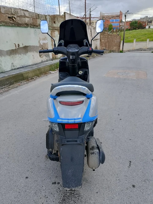 Vms Cuxi estate 2023