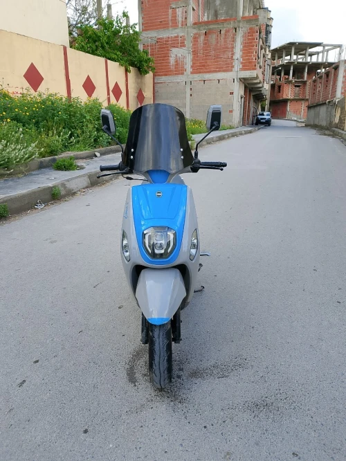 Vms Cuxi estate 2023