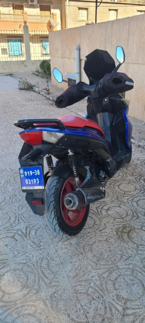 Benelli cafinèro Sport 2019