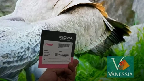 Télévision Marque Kiowa 32P Simple