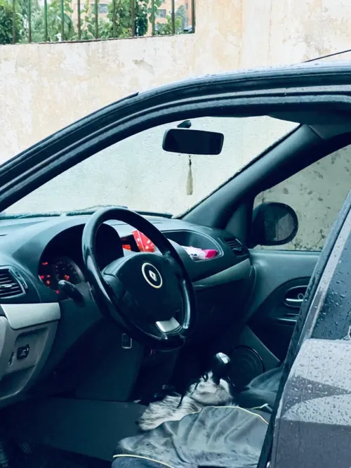 Renault Symbol 2013 Collection