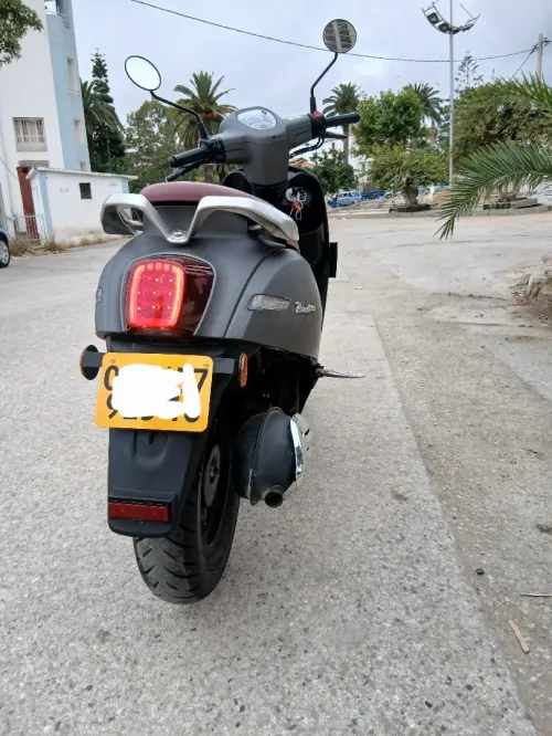 Benelli Panarea 2025