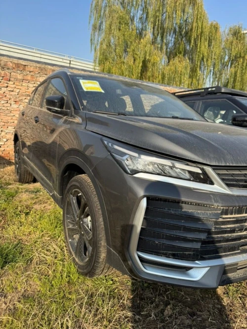 Geely Coolray 2026 Fool option