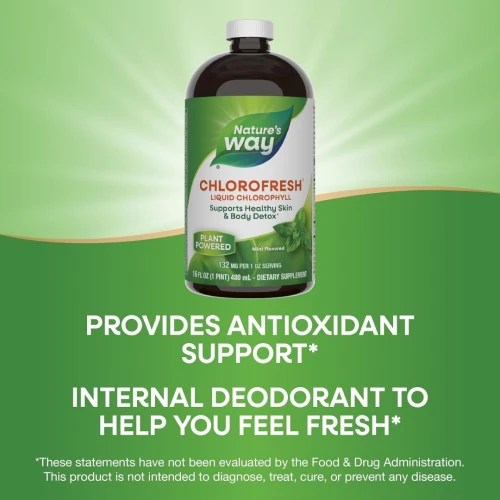 Chlorophylle Super Concentré Désodorisant Interne Et Détoxifiant - Saveur Menthe 480ml