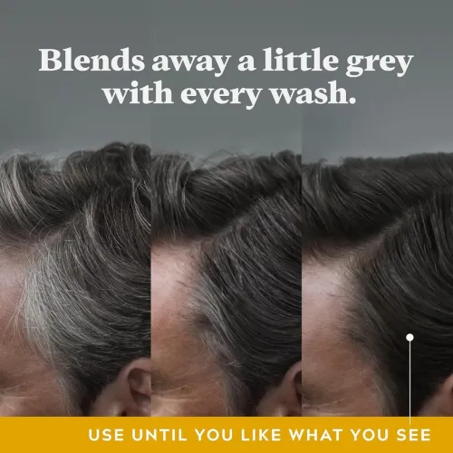 Just For Men - Réducteur De Cheveux Gris Shampooing Et Aprés-Shampooing 2 En 1