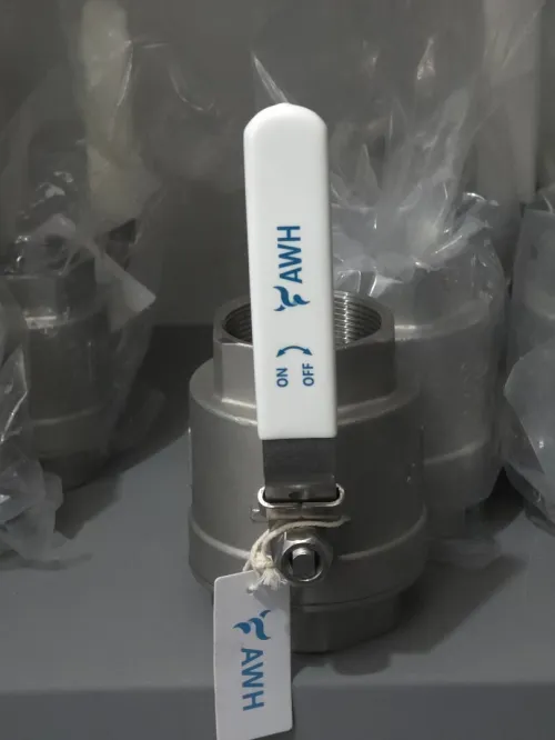 Vanne Papillon Inox 304L