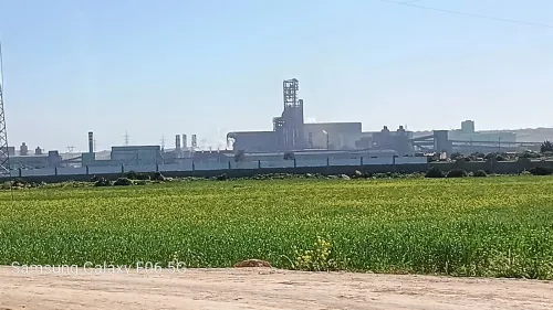 Vente Terrain Agricole Oran Ain el bia