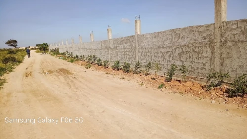 Vente Terrain Agricole Oran Ain el bia