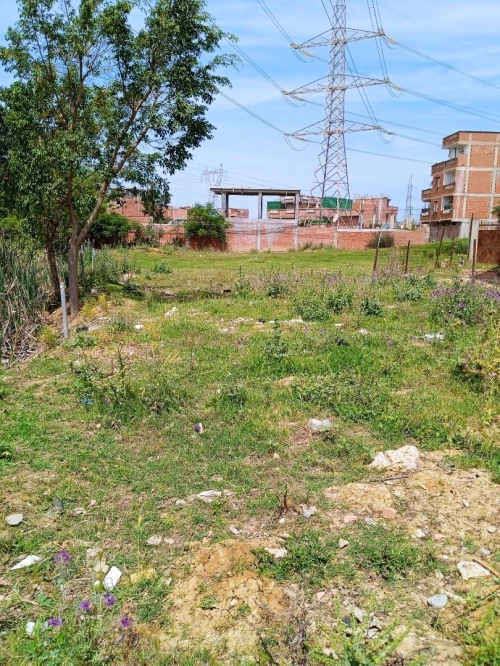 Vente Terrain Boumerdès Boudouaou