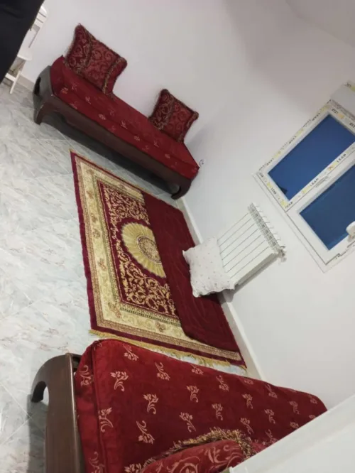 Location Appartement Studio Boumerdès Boumerdes 3