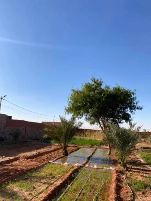 Location Terrain Timimoun Timimoun
