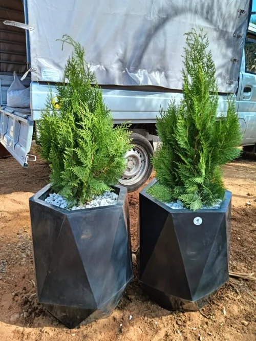 Les pots de fleurs lux et moderne pour décoration intérieure et extérieure 