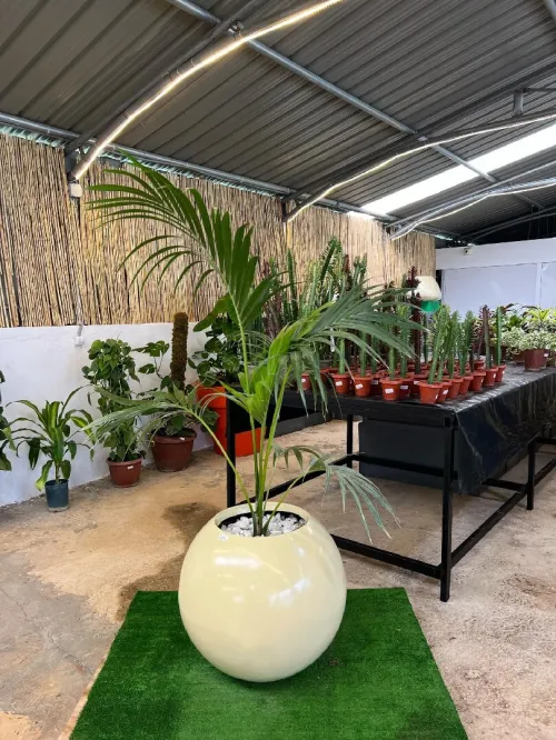 Les pots de fleurs lux et moderne pour décoration intérieure et extérieure 