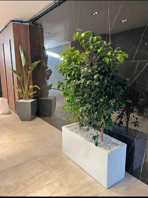 Aménagement floral de terasses avec des pots et plantes d'intérieur et extérieure 0559360090 