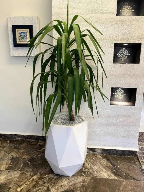 Les pots de fleurs lux et moderne pour décoration intérieure et extérieure 