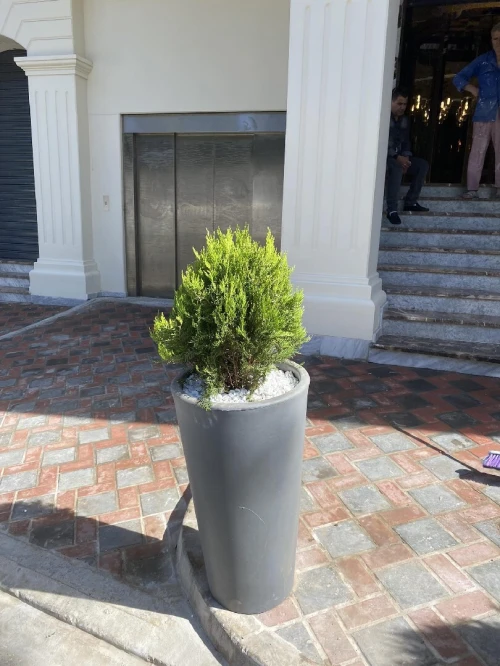 Aménagement floral de terasses avec des pots et plantes d'intérieur et extérieure 0559360090 
