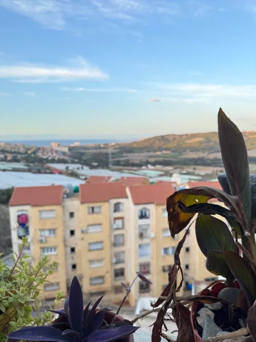 Location Immeuble Appartement F4 Tipaza Douaouda