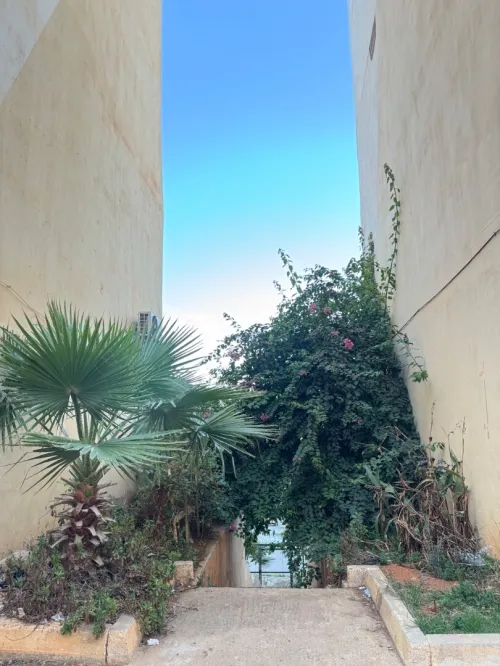 Location Immeuble Appartement F4 Tipaza Douaouda