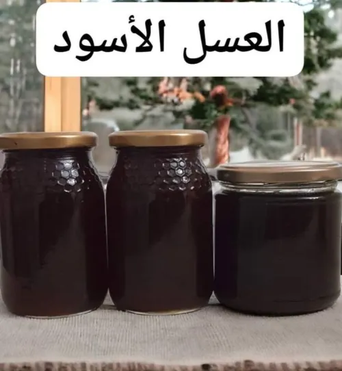 Miel naturel pur - عسل طبيعي 100٪ (سدر، جرجير، كاليتوس، جبلي، متعدد الزهور)