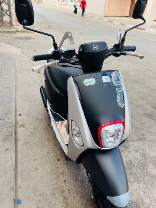 Cuxi 2 2025