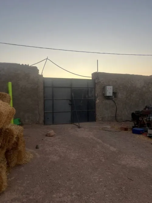 Vente Terrain Agricole Sidi Bel Abbès Tabla