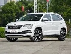 Skoda Karoq 2025 Luxry
