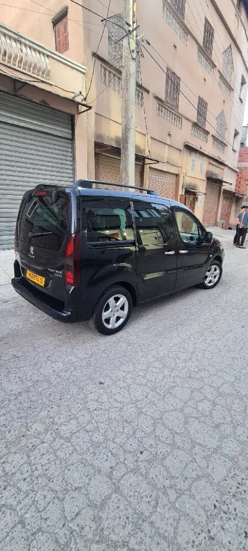 Peugeot Partner 2014 Tepee