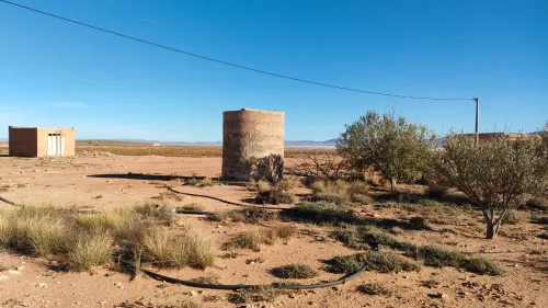 Vente Terrain Agricole Djelfa Had sahary