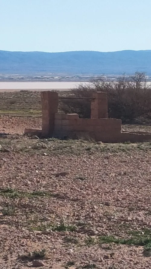 Vente Terrain Agricole Djelfa Had sahary