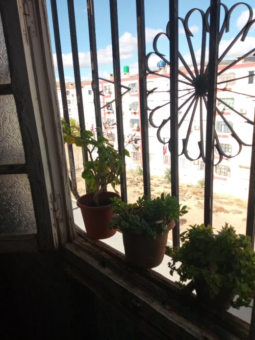 Vente Appartement F3 Oum El Bouaghi Oum el bouaghi