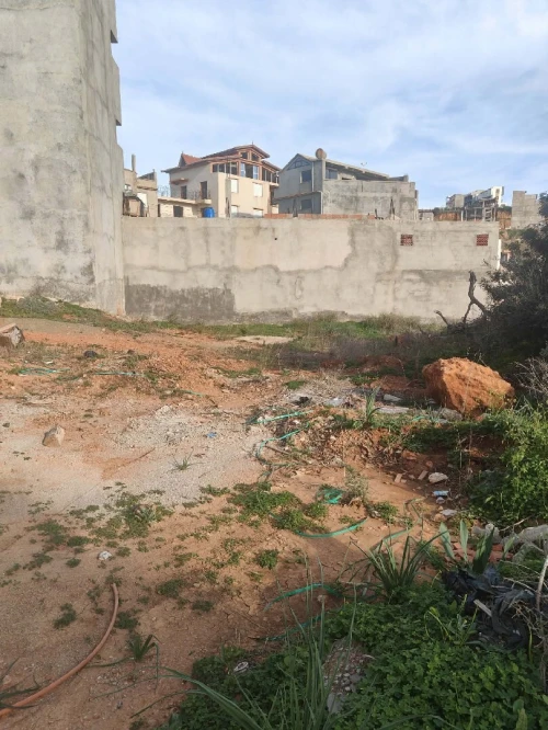 Vente Terrain Tipaza Cherchell