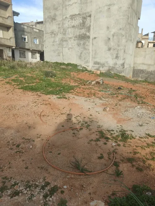 Vente Terrain Tipaza Cherchell