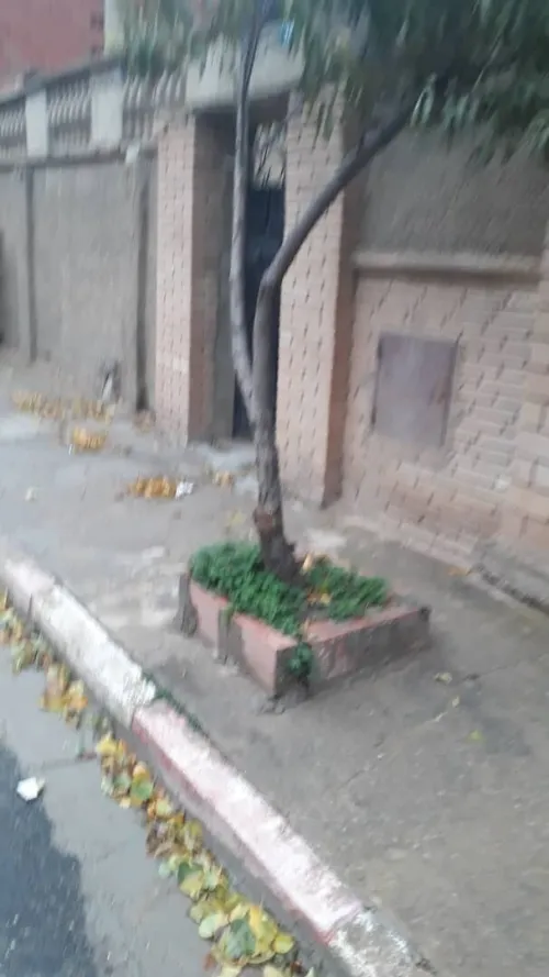 Vente Tiaret Dahmouni
