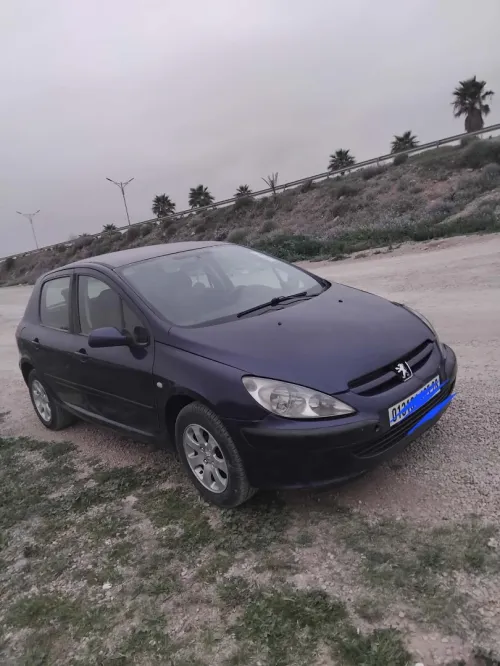 Peugeot 307 2005 307