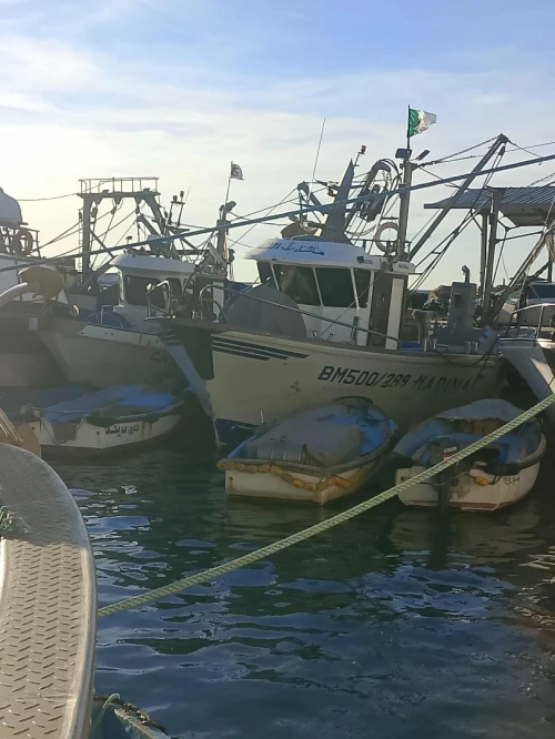 Sardinier