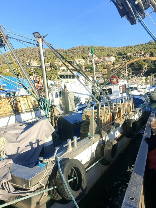 Sardinier