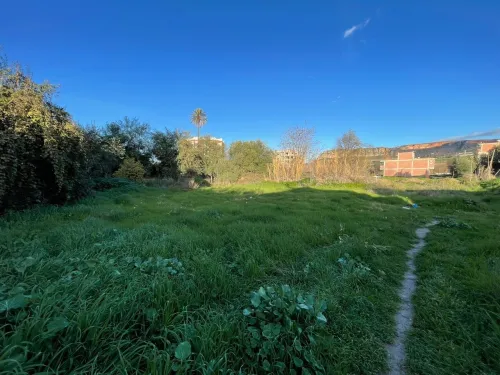 Vente Terrain Constantine Hamma bouziane