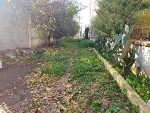 Vente Guelma Belkheir