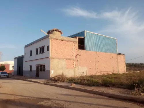Vente Hangar - Usine Mascara Mohammadia