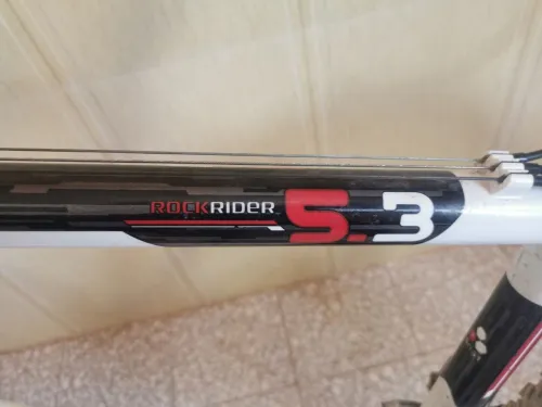   Bitwin Rochrider